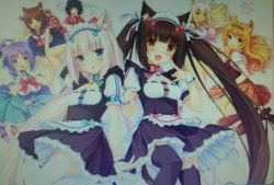 动漫猫娘,猫娘的奇幻冒险之旅