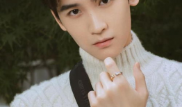 吃瓜爆料黄俊捷视频下载,吃瓜爆料背后的真相